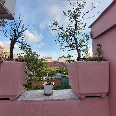 Gex Tirana